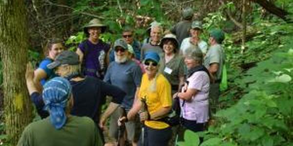 group of people hiking in woods